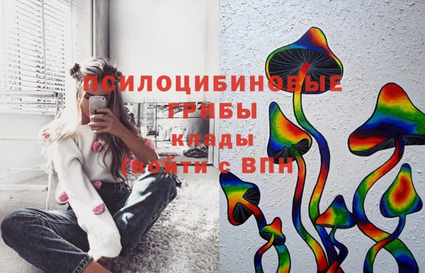 бутират Алексеевка