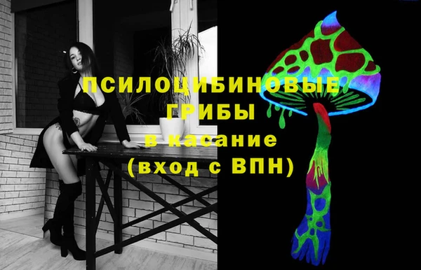 прущий лед Алзамай