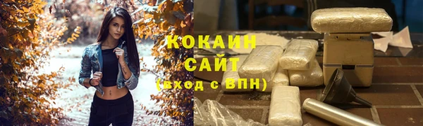 прущий лед Алзамай