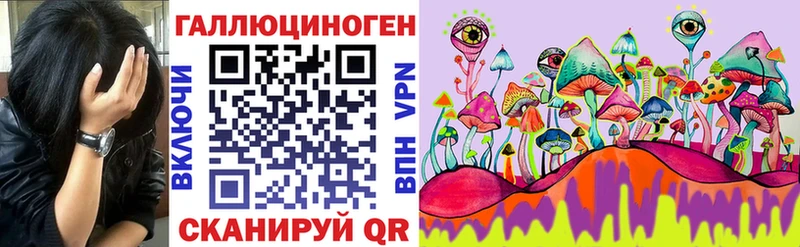 Галлюциногенные грибы Psilocybine cubensis  Белорецк 