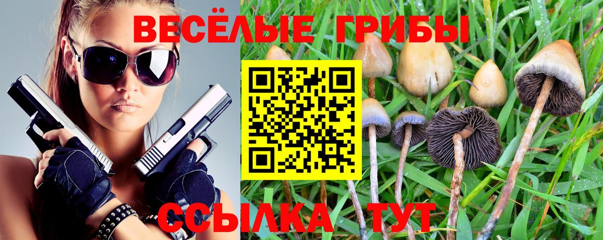 Псилоцибиновые грибы GOLDEN TEACHER Белорецк